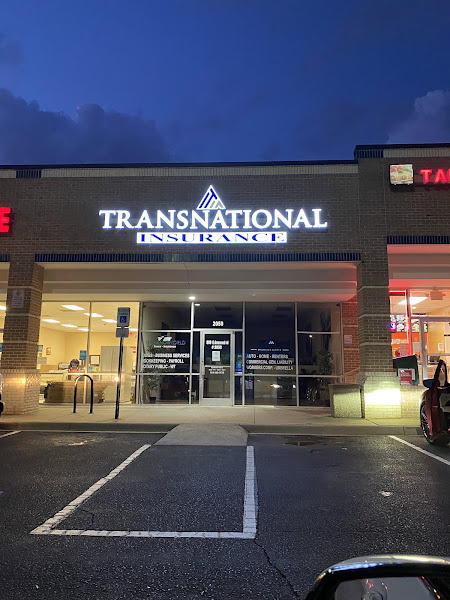 Transnational Insurance Agency 3