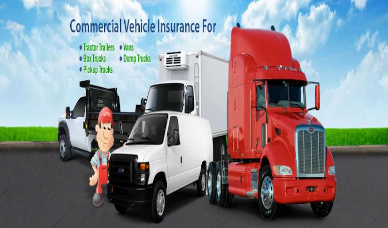 Premier Insurance 3