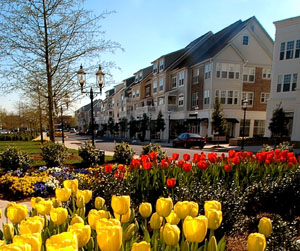 Neetu Singh Realty Group, Serving Charlotte, Lake Norman & Surrounding Areas. Licensed In NC & SC 4