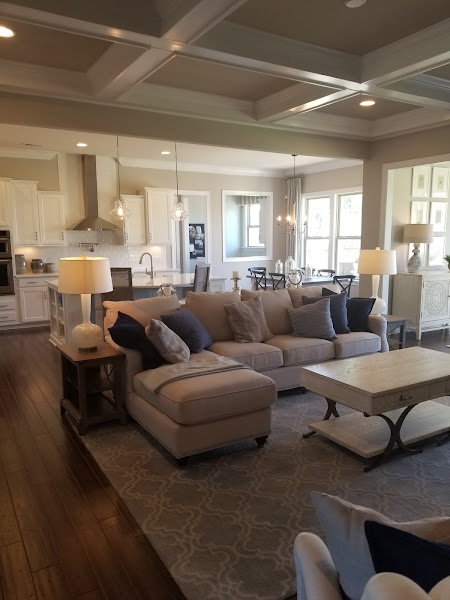 Lisa Nguyen - NC & SC REALTOR 4