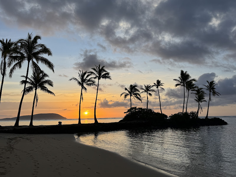 The Travel Byrds | Travel Agency 4