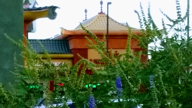 Chinatown Vegas 2