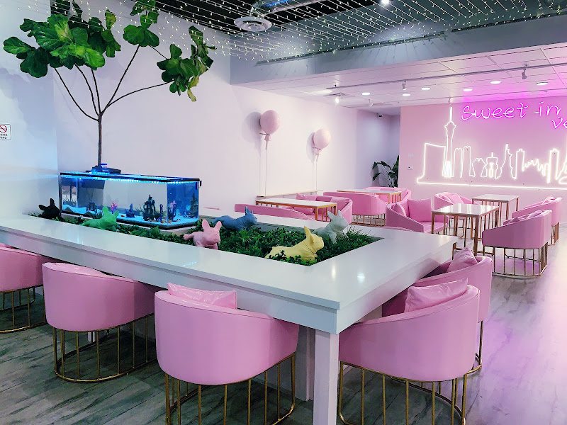 Pink Cactus Tea 2