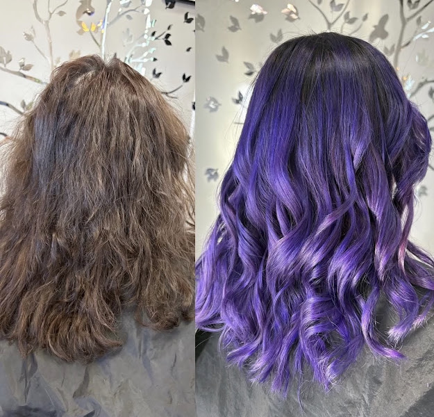 Vegas Hair Color Masters 5