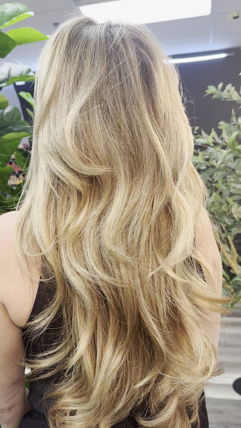 Wesley Slay Salon 3