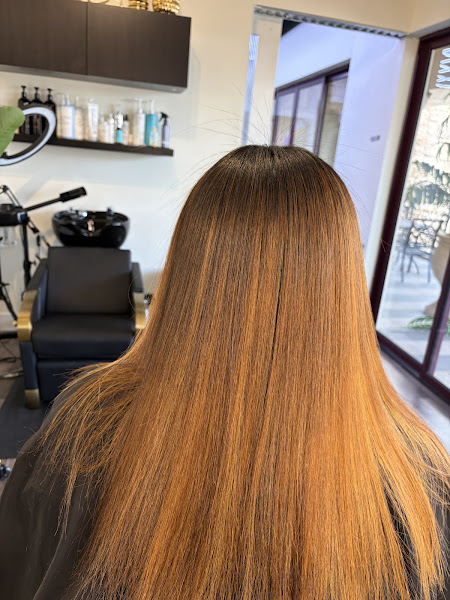 Salon Cass 5