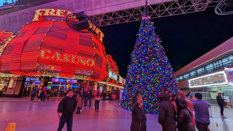 Viva Vegas F2 5