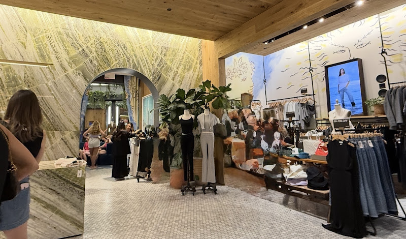 Aritzia 5
