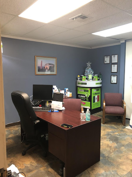 INSURANCE GROUP OF NEVADA CORP 4