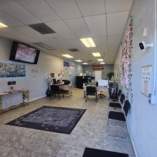 L.A. Insurance 4