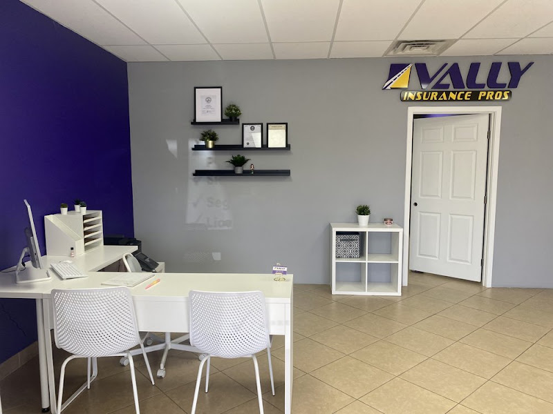 Vally Insurance Pros