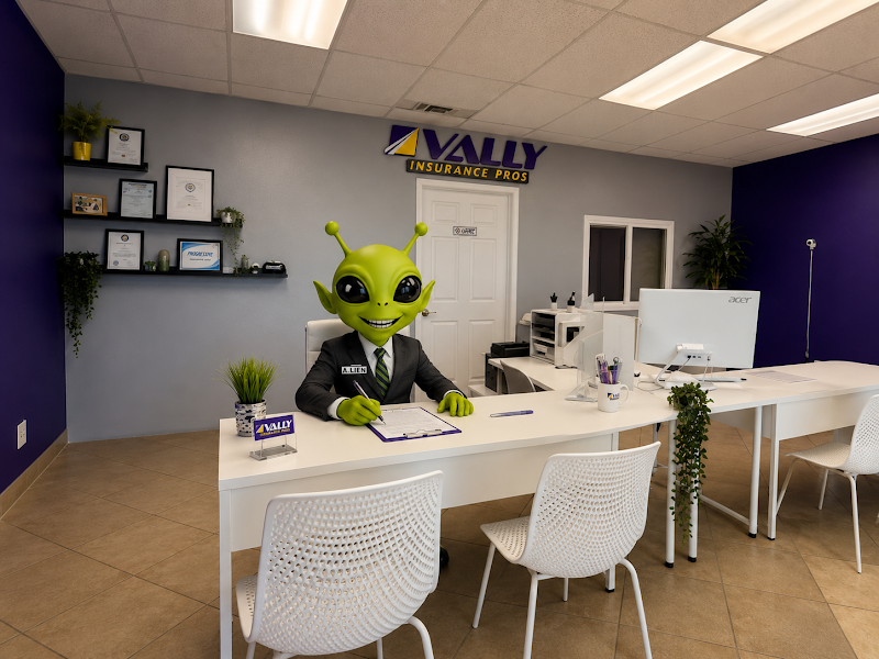 Vally Insurance Pros 5