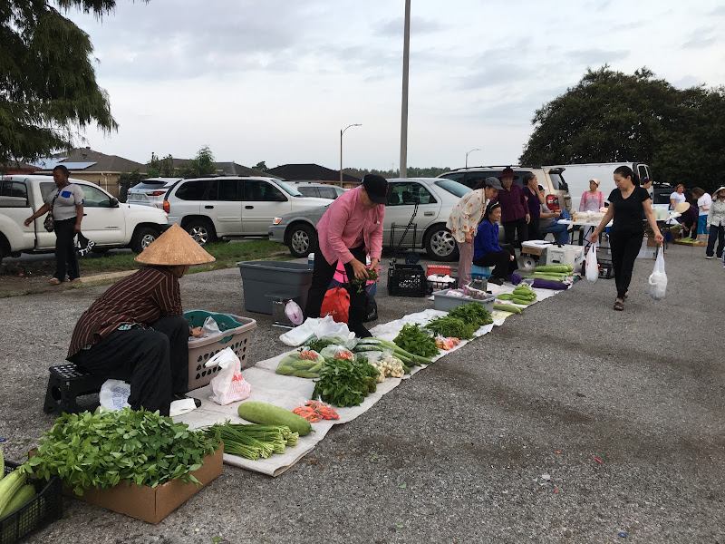 Vietnamese Farmers Market 4
