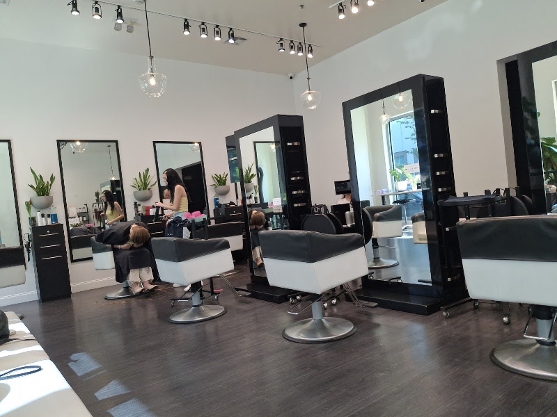 HAIR LOFT STUDIO 2