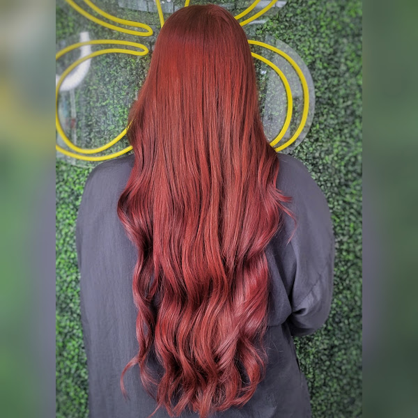 mariposa salon 5