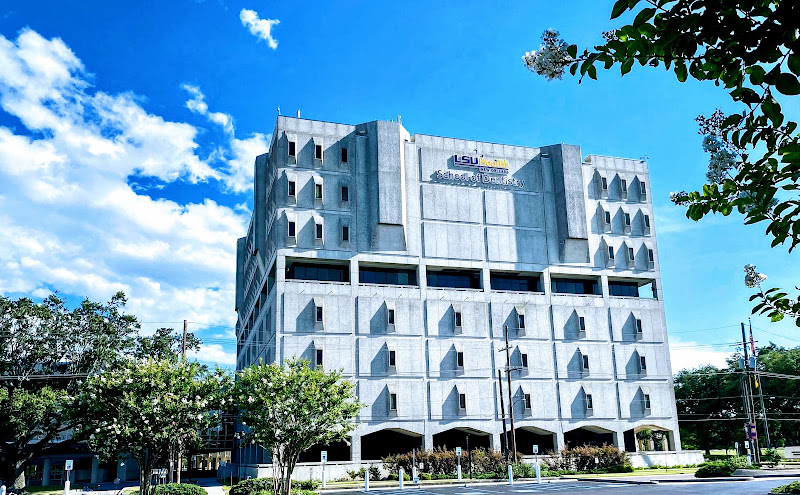 Louisiana State University School of Dentistry