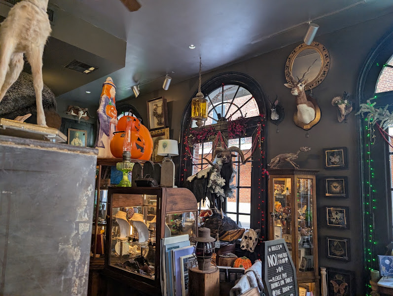 Dark Matter Oddities & Artisan Collective
