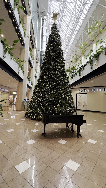 Canal Place 3