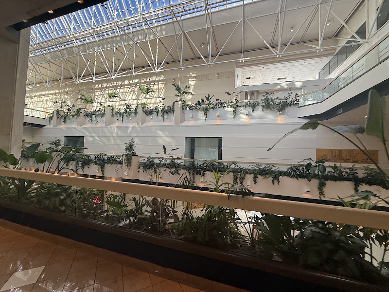 Canal Place 5
