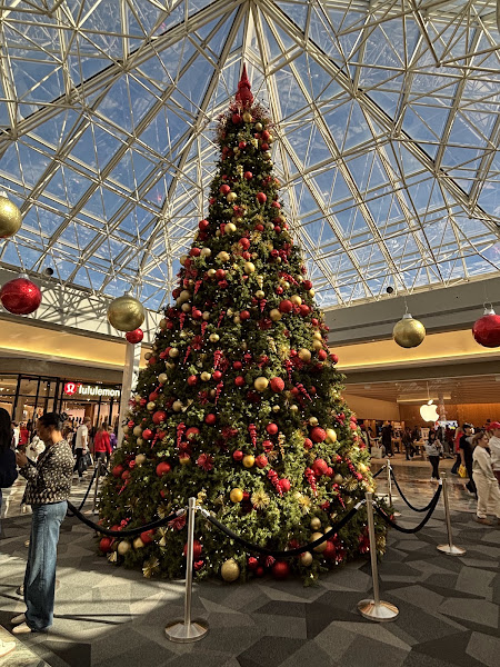 Lakeside Shopping Center 5