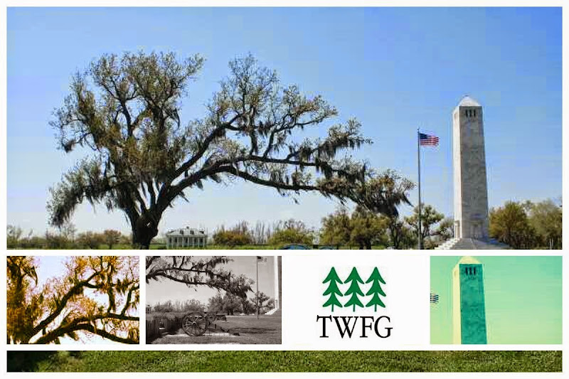TWFG Insurance - Stephen Lovecchio 2