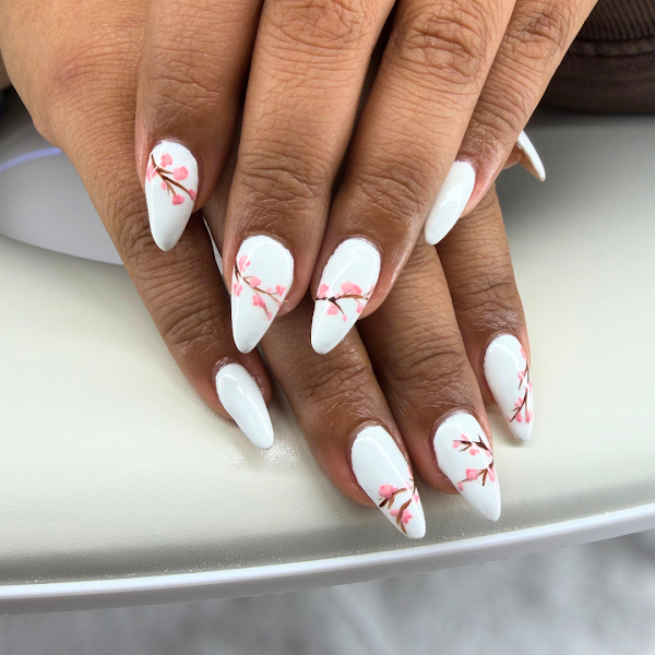 Modern Muse Nails & Spa 5