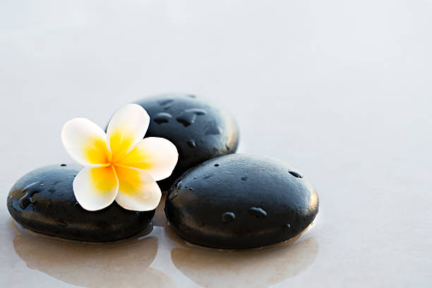 Plumeria Nails & Spa 2