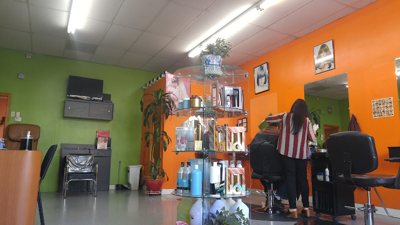 Hair Fashion Salon