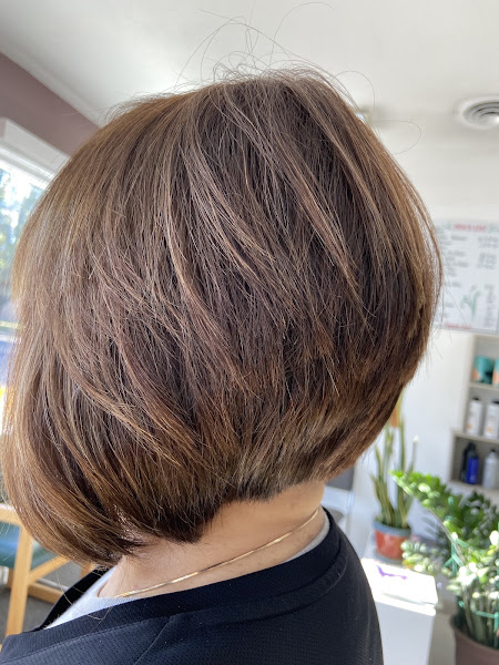 Hair Cuts 2