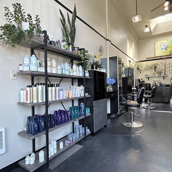 Studio B Hair Design