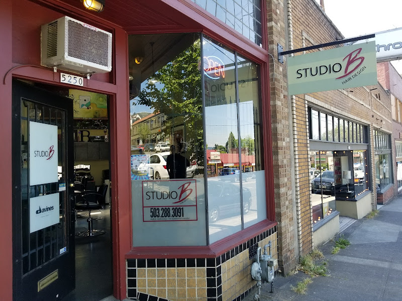 Studio B Hair Design 4