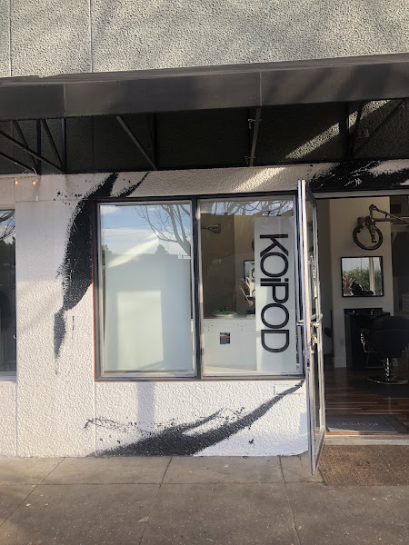 Koipod Salon 3