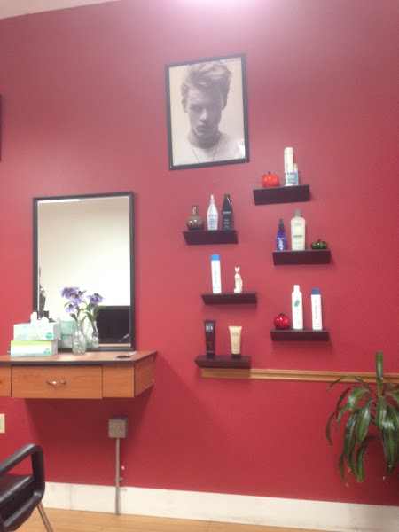 Star Salon 4