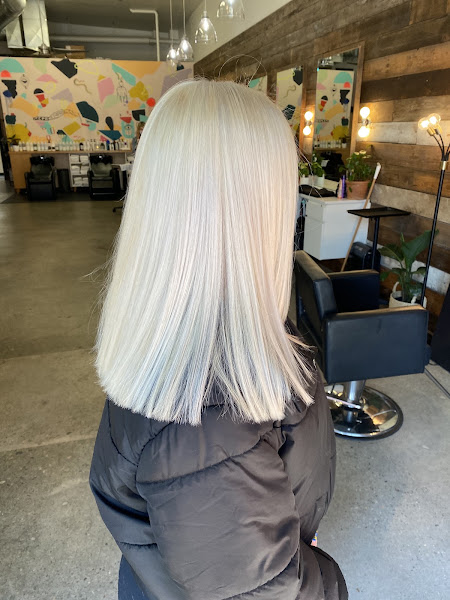 Mod Salon 4