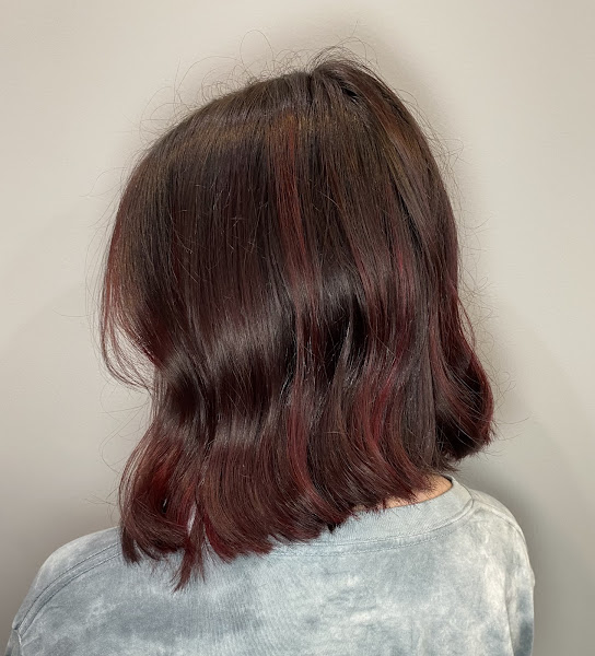 Evolution Hair Design 3