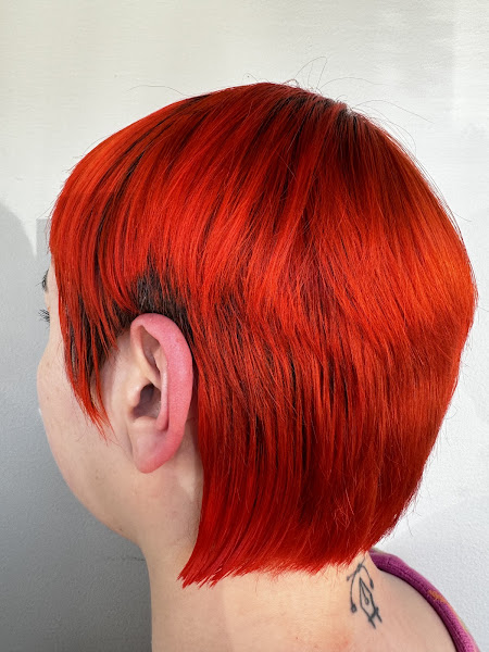 Evolution Hair Design 4