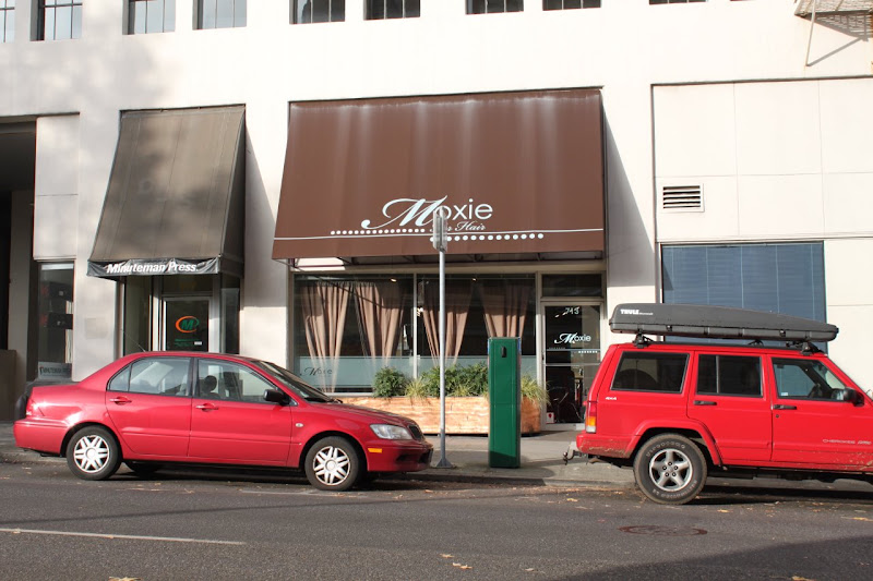 Moxie For Hair 4