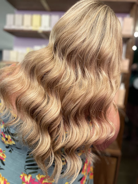 Chameleon Salon 2