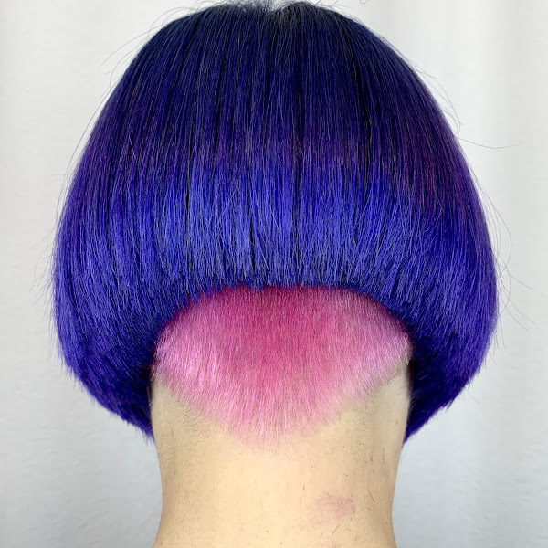 Chameleon Salon 3