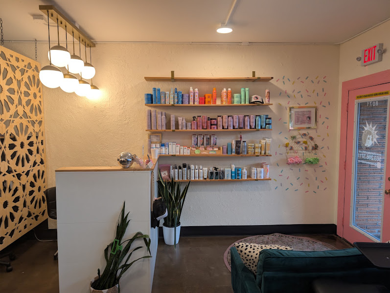 Chameleon Salon 4