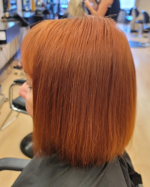The Hair Collective East 3