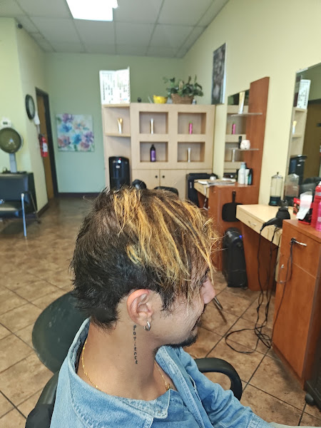 Hairdo USA 3
