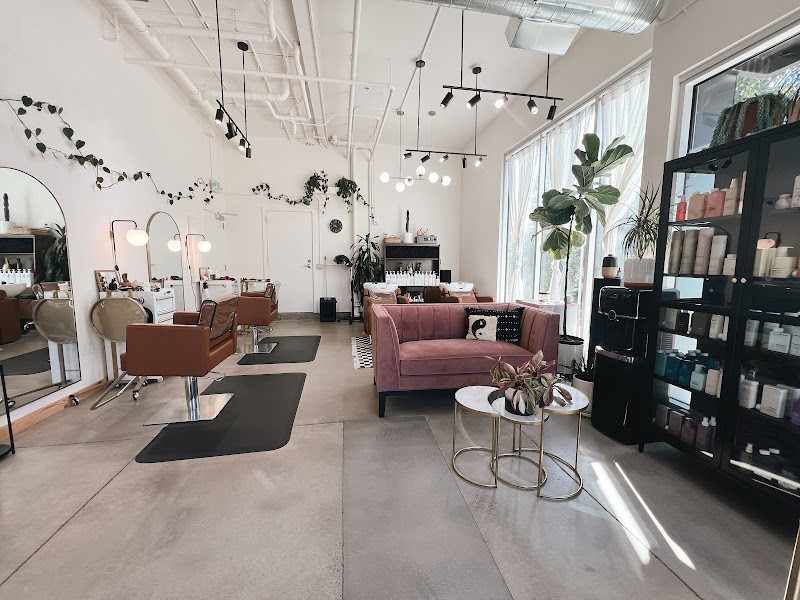 The Lightening Society Salon