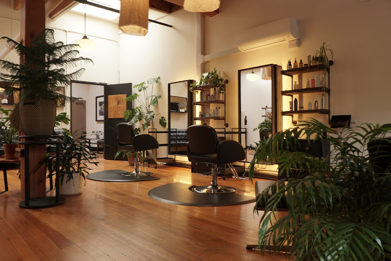 Coda Salon