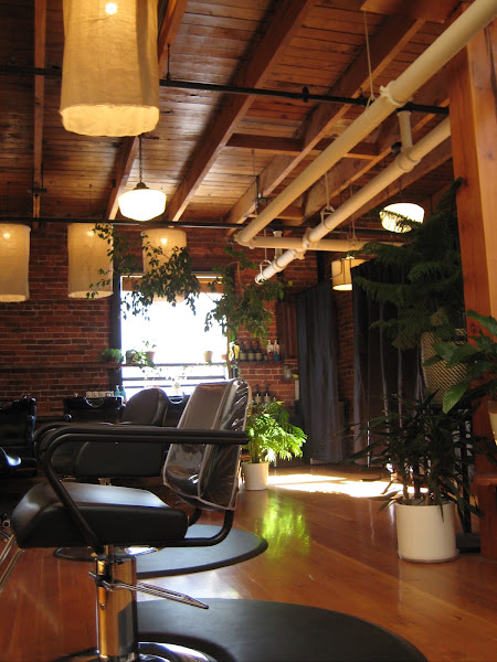 Coda Salon 4