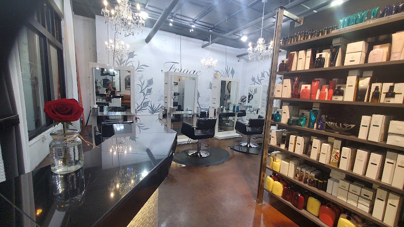 Fringe Salon Studio 4