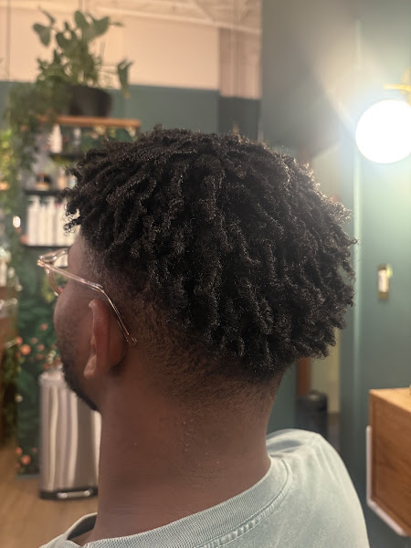 Dreamboat Salon 4