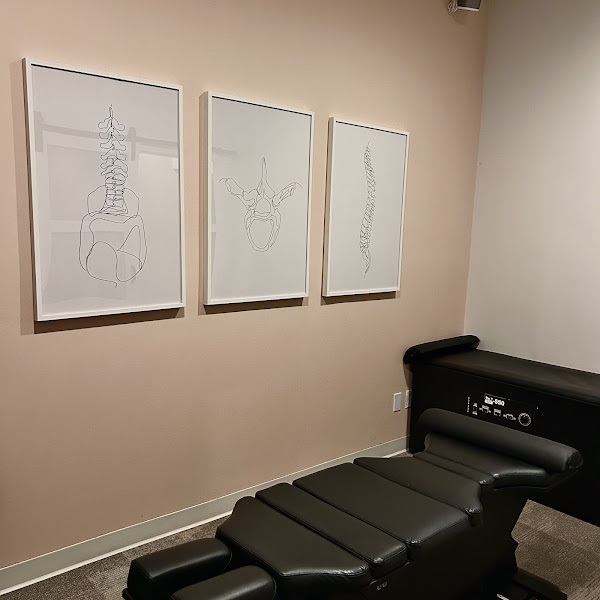 Cura Chiropractor-SE 3