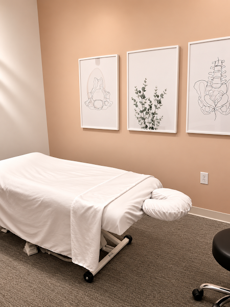 Cura Chiropractor-SE 4