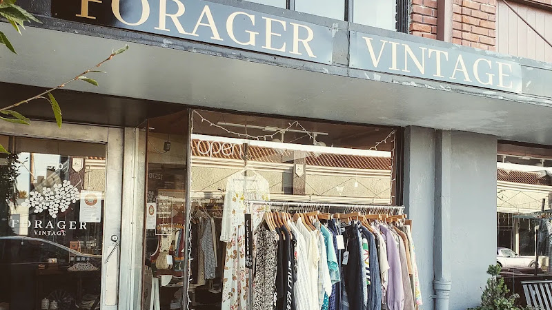 Forager Vintage 4